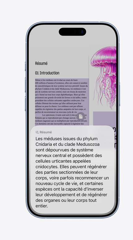 iPhone présentant l’utilisation de l’intelligence visuelle dans le domaine de la décoration intérieure