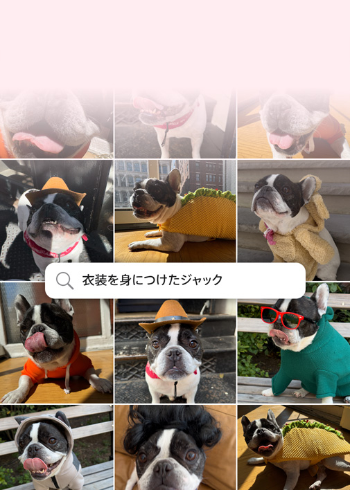 機能のデモ。自然な言葉づかいでの写真の検索。犬の写真の上に「衣装を着たバンディット」という検索クエリーが表示されている