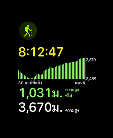 Hiking workout card, metrics: time, elevation
