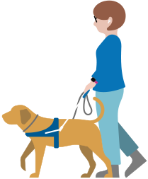 Person with low vision wearing AirPods and walking with assistance dog