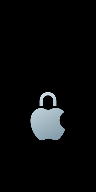 Privacy Apple logo.