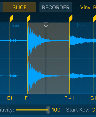 Quick Sampler, blue audio waves, slice and recorder buttons